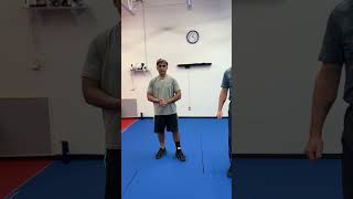 Celebrity TRIPLE THREAT..."TOP DOC"  now STRESS FREE. #martialarts, #selfdefense, #kickboxing, #albanyny Net Worth