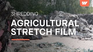Shredding dirty agricultural stretch film (LLDPE) with a WEIMA PreCut 3000 shredder