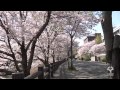 大阪大学吹田キャンパス(2011) Suita campus