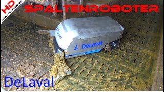 DeLaval Spaltenroboter RS450 und RS450 WS – Gründlich und flexibel