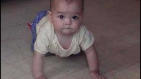 Digitising Dahlia III