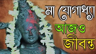 মা যোগাধ্যা কাছে যা চাইবেন তাই পাবেন | ma jogadya | khirgram maa jogadya | #satipith