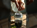 Tiny Terrarium, Big Creativity: Recycled Jar Terrarium Craft