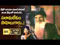 Salamalekum Sahebu garu Song 4K | NTR, Jamuna | Gulebakavali katha Movie | Old Telugu Songs