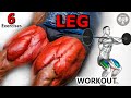 The PERFECT Leg Workout - 6 Best Leg Exercises