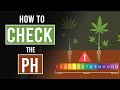 Test the p.H of your Plants