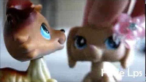 LPS: MEP Part 4 For Stellx Productions