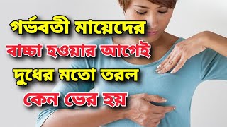 গর্ভাবস্থায় মায়েদের সাদা দুধের মতো তরল কেন বের হয়/বাচ্চা হওয়ার আগেই দুধ কেন আসে/কবে থেকে বুকে দুধ আস