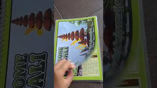 Tourist Map Bali