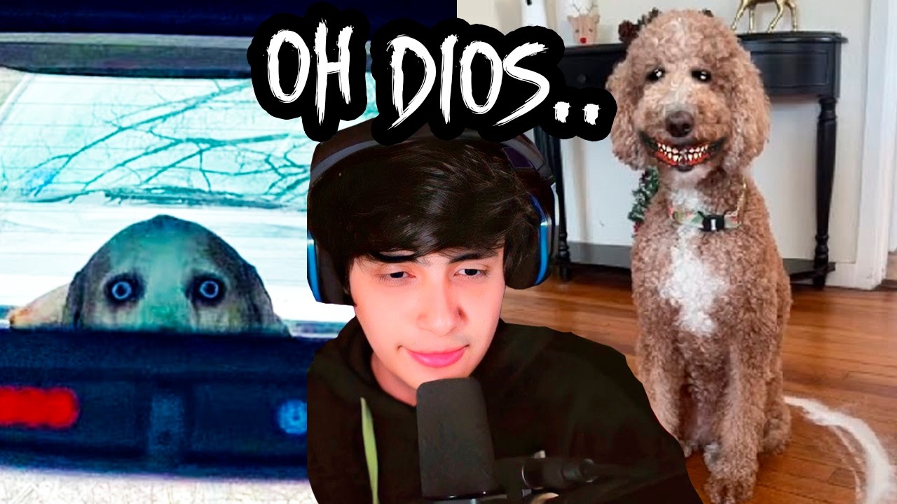 que bonito esta TU SKINWALKER 💀