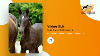 Viking GLN | Cero Blue x Colombus Z