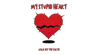 My Stupid Heart - Walk off the Earth (Ft. Luminati Suns) INSTRUMENTAL