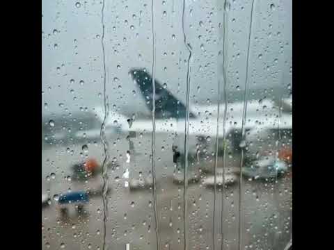 اللهم أنزل على قبور موتانا رحماتك دعاء للأموات