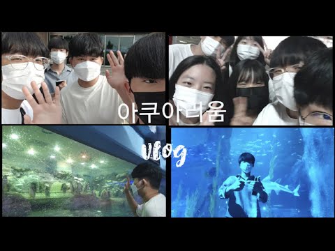 [vlog]롯데 아쿠아리움 브이로그1/06/도봉고 마지막 체험학습ㅠㅠ
