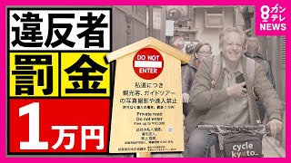 【通り抜けたら罰金1万円】「舞妓パパラッチ」を防ぐ目的　京都・祇園の私道「小袖小路」で看板設置工事〈カンテレNEWS〉