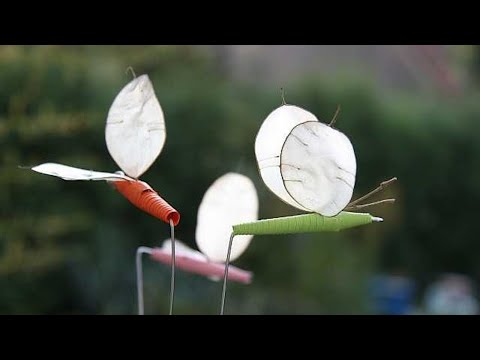 Jak vyrobit motýlky s křídly z měsíčnice