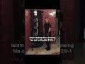 omg khabib is scared of a cat 😺😂 29 - 1😂