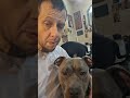 purest true love alliance bigmike pitbull disciple gray an ben feel like shit from eating