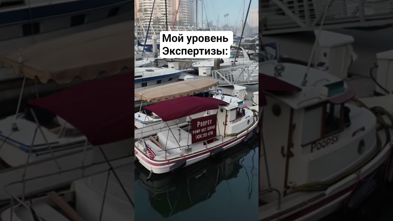 Мой уровень экспертности в любых делах 