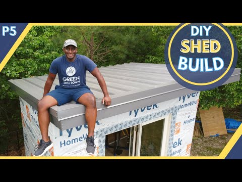 My DIY Shed Build: An Unforgettable Experience | P5