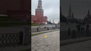Москва сердце нашей родины #москва #кремль #путин #втренде