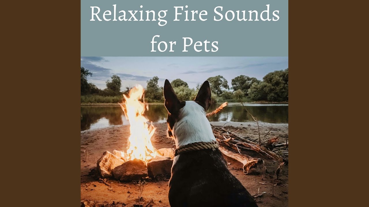 Camp Fire Crackels, Cats and Dogs sounds