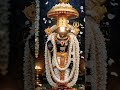 #govindaharigovinda #srinivasagovinda #omnamovenkateshaya #hindugod #devotionalhits #hindugod