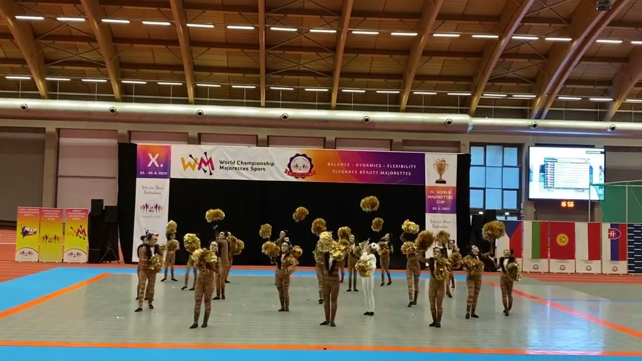 Enigma Rybnik Mistrzostwa Świata Ostrawa 2023 Koty 🥈