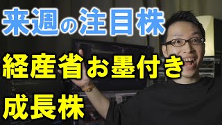 【注目株データ解説】経産省お墨付きのマザーズでたった１つの銘柄【DX,SaaS】