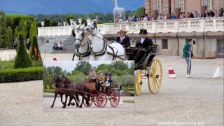 Attacchi di tradizione, historical carriages, Venaria Reale, Concorso internazionale. Parte  21