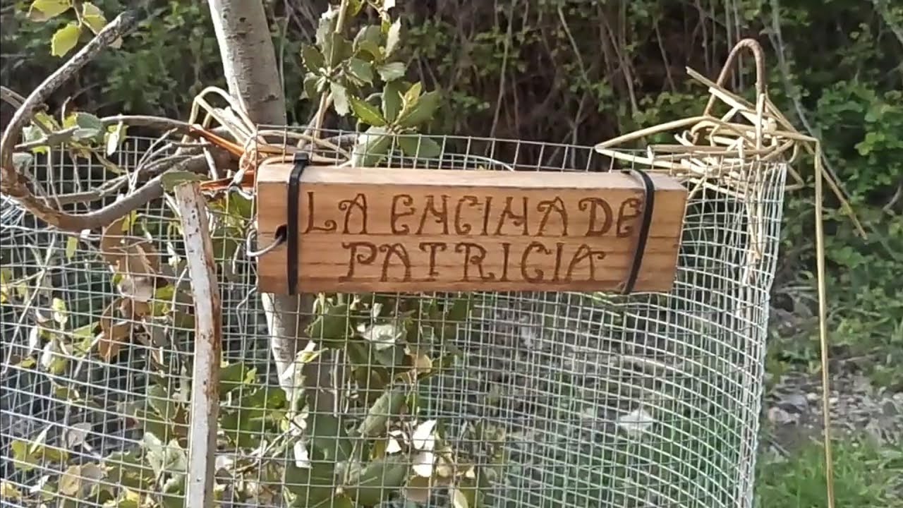 El reventón de "La Fuente Carrasca"  intensas lluvias de Abril del 2022  (La Encina de Patricia)