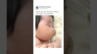 Those are the cheekiest cheeks I have seen in a long time
