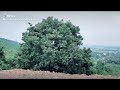 Bhavya tv odisha views at keonjhar
