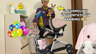 Trattiamo Il Nostro Cagnolino Come Un Bambino Per 24 Ore Non Dovevamo Farlo