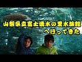 【見学】さかな公園 山梨県立富士湧水の里水族館に行ってきた