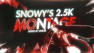 Rage Snowys 2.5K Sub Montage By Rage Linksk