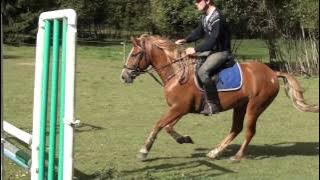 Radza ehk hobusega seenel