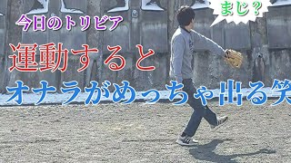 壁当て80km　野球　