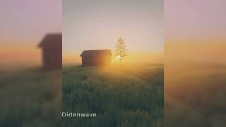 Didenwave - (Aurora)