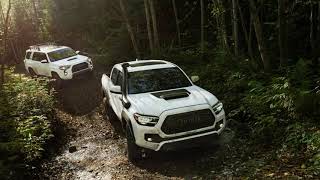 2020 Toyota Sequoia TRD Pro : Everything You Need to Know