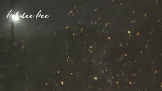 snow squall | bernee bee