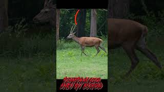 Penampakan Sosok Hantu Nyi Blorong