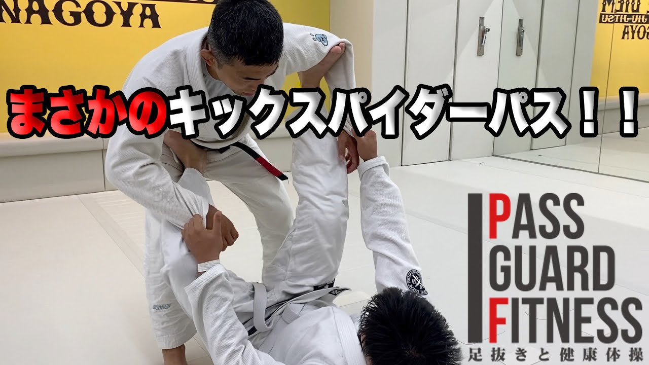スポーツ・フィットネス HOW TO PASS GUARDS QUICKLY & EASILY DVD How