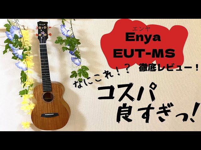 Enya Ukulele EUC-MAD Blue - guitarshoptantan （ギターショップタンタン）