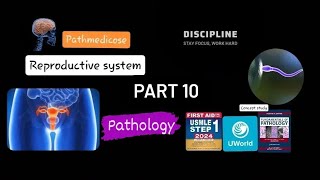Reproductive system part 10 ( PATHOLOGY ) #pathoma #path #usmlestep