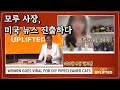 Deongkul DIY) Pipe Cleaner Shop Owner Featured on the News! 🗞️ Interview with Washington News 🇺🇸