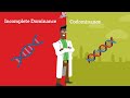 Genetics Unveiled: Incomplete Dominance and Codominance Explained