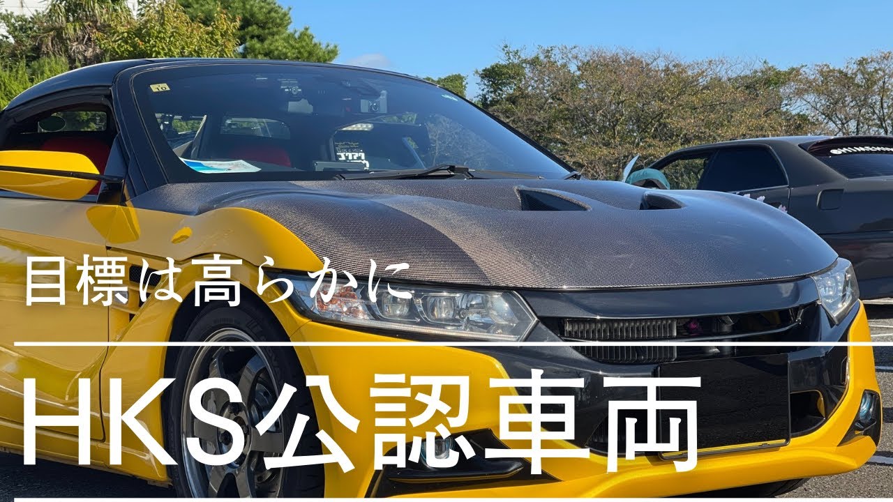 [アルトワークスha36s] さきちゃむお気に入り☆龍さんのS660愛車紹介してみた！