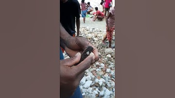 Cara Makan Sirih Pinang di pulau Timor #NTT #Timor #Soe #shorts