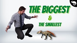 The BIGGEST and the SMALLEST DINOSAURS from EVERY GROUP!